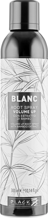 Black Professional Line Спрей для об'єму волосся Blanc Volume Up Root Spray - фото N1