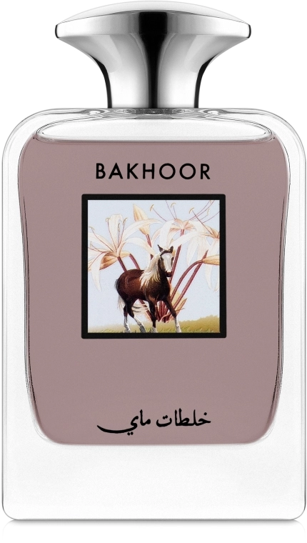 My Perfumes Bakhoor Парфюмированная вода - фото N1