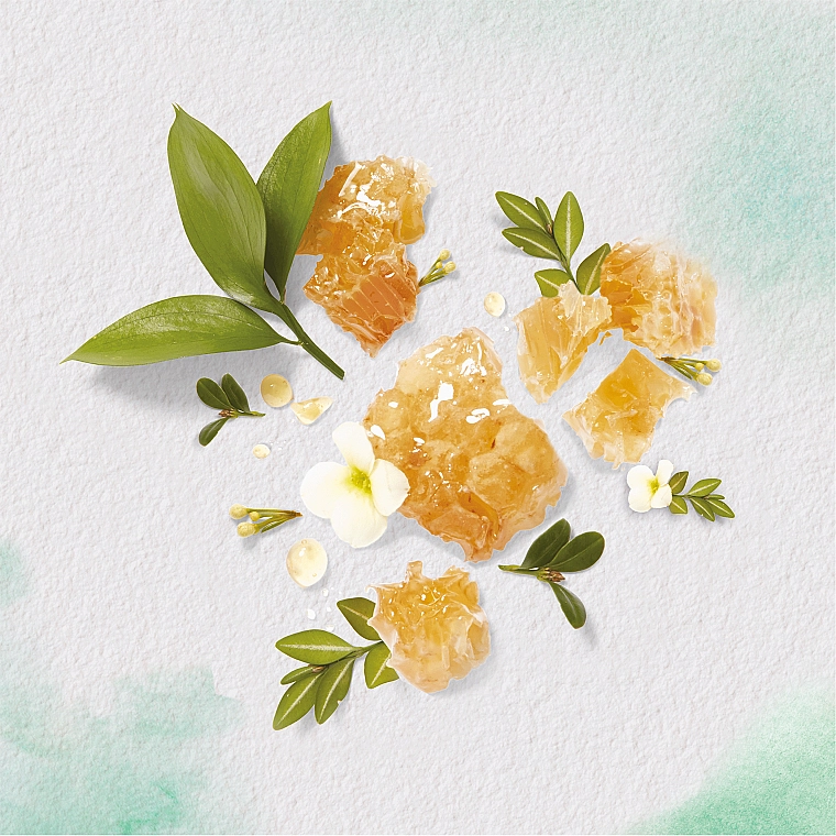 Herbal Essences Зволожувальний шампунь "Мед манука" Bourbon Manuka Honey Shampoo - фото N2
