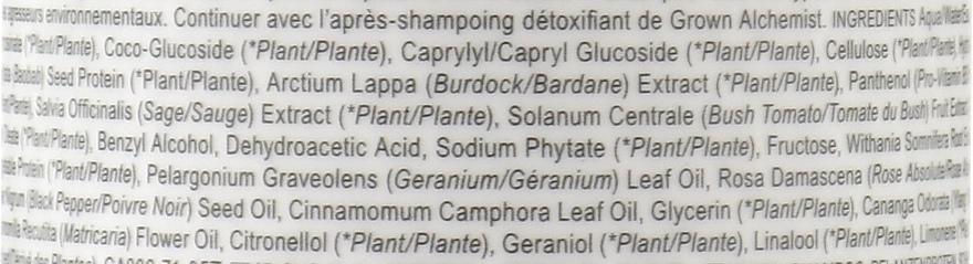 Grown Alchemist Детокс-шампунь Detox Shampoo Hydrolyzed Silk Protein & Black Pepper & Sage - фото N2