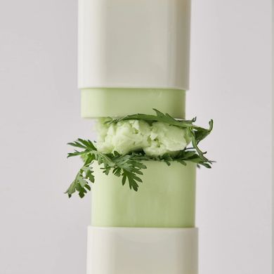 Матуючий сонцезахисний стік - Beauty Of Joseon Matte Sun Stick: Mugwort + Camelia SPF 50+ PA++++, 18 г