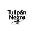 Tulipan Negro