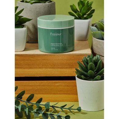 Увлажняющий крем для чувствительной кожи с экстрактом полыни &ndash; Fraijour Original Herb Wormwood Calming Watery Cream, 100 мл
