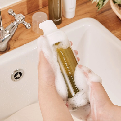 Пенка для умывания для чувствительной кожи с экстрактом полыни - Fraijour Original Artemisia Bubble Facial Foam, 200 мл