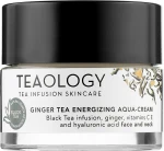 Teaology Крем для обличчя з імбирним чаєм Ginger Tea Emergizing Aqua Cream - фото N4