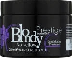 Erreelle Italia Нейтрализующий кондиционер против желтизны волос Prestige Blondy Maschera No-Yellow