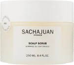 Sachajuan Скраб для шкіри голови Scalp Scrub