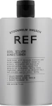 REF Кондиционер «Серебряная прохлада» pH 3.5. COOL SILVER CONDITIONER - фото N5