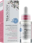 Teaology Зволожувальна сироватка з гіалуроновою кислотою Hyaluronic Infusion Hydrating Serum - фото N2