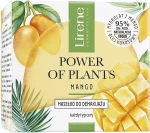 Lirene Power Of Plants Mango Make-Up Remover Butter Масло для снятия макияжа "Манго" - фото N2