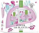 Lirene Набір Power Of Plants Opuncja (foam/200ml + cr/50ml)