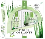 Lirene Набір Power Of Plants Aloes (tonic/200ml + cr/50ml)