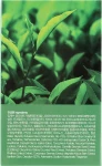 FarmStay Ампульна сироватка з зеленим чаєм All-In-One 76 Green Tea Seed Ampoule - фото N3