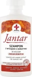 Farmona Шампунь для пошкодженого волосся Jantar Medica Shampoo With Amber Extract