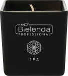Bielenda Professional Ароматична свічка SPA Ayurvedic Youth Elixir Candle