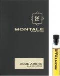 Montale Aoud Ambre Парфумована вода (пробник)