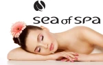 Sea of Spa Лосьйон для душу Bio Spa Bath Lotion Pomegranate - фото N3