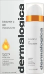 Dermalogica Биолюмин гель-увлажнитель с витамином С Biolumin-C Gel Moisturizer - фото N2