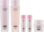 3W Clinic Набор Flower Effect Extra Moisturizing 3 Kit Set (ton/150ml + emul/150ml + f/cr/50ml + mini/ton/30ml + mini/emul/30ml)