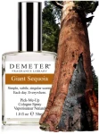 Demeter Fragrance Giant Sequoia Парфуми