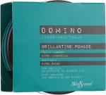 Helen Seward Бриллиантовый воск с аргинином и органическим экстрактом бузины Domino Styling Brillantine Pomade, 100ml - фото N2