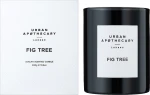 Urban Apothecary Fig Tree Ароматична свічка - фото N2
