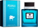 Flavia Pegasus Pour Homme Парфюмированная вода - фото N2