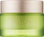 Christian Breton Протизапальний крем із цинком Age Priority Zinc Moisturizer Blemish & Age Corrector