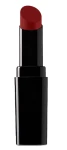 Стійка помада для губ - KSKY Long Lasting Lipstick, KS 111 - Venetian Red