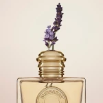 Парфюмированная вода для женщин - Burberry Goddess Intense, 50 мл - фото N3