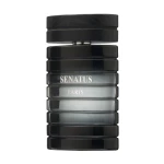 Парфюмированная вода мужская - Prestige Parfums Senatus Black, 100 мл - фото N2