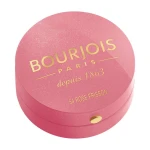 Bourjois Рум'яна для обличчя Pastel Joues, 2.5 г - фото N3