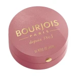 Рум'яна для обличчя - Bourjois Little Round Pot Blusher, 95 - Rose De Jaspe 2,5 г - фото N3