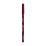 Bourjois Карандаш для губ Levres Contour Edition 09 Plum it Up, 1.14 г - фото N2