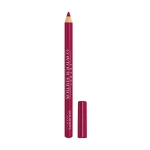 Bourjois Карандаш для губ Levres Contour Edition 05 Berry Much, 1.14 г