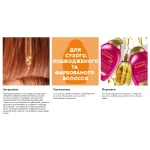 OGX Шампунь против ломкости волос Anti-Breakage + Keratin Oil Shampoo с кератиновым маслом, 385 мл - фото N11