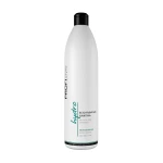 Profi Style Бессульфатный увлажняющий шампунь Hydro Shampoo для сухих волос, 1 л