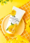 Крем для рук с хризантемой - Jigott Secret Garden Chrysanthemum Hand Cream, 100 мл - фото N2