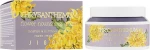 Крем для обличчя живильний екстрактом хризантеми - Jigott Flower Chrysanthemum Nourishing Cream, 100 мл - фото N2