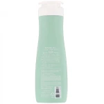 Охолоджуючий шампунь для жирної шкіри голови - Daeng Gi Meo Ri Look At Hair Loss Minticcino Deep Cooling Shampoo, 500 мл - фото N2