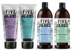 Зволожуючий шампунь для сухого та пошкодженого волосся - Barwa Five Herbs Moisturizing Shampoo, 480 мл - фото N3