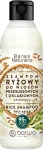 Омолоджуючий шампунь з екстрактом протеїну рису для сухого та ослабленого волосся - Barwa Natural Rice Shampoo, 300 мл - фото N2