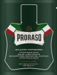 Proraso Бальзам после бритья с эвкалиптовым маслом и ментолом Green Line After Shave Balm (пробник)