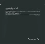 Pyunkang Yul Заспокійливі тонер-педи Pyunkang Yul Calming Toner Pad