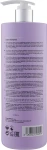 Erayba Шампунь антижелтый для седых и осветленных волос ABH Silver No-Yellow Shampoo - фото N4