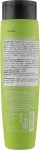 Helen Seward Очищувальний шампунь для волосся Therapy 6/S Pyrify Shampoo - фото N2