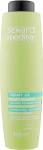 Helen Seward Очищувальний шампунь для волосся Therapy 6/S Pyrify Shampoo - фото N3