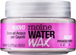Renee Blanche Воск для волос Moine Water Wax Night
