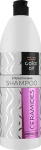 Prosalon Укрепляющий шампунь для волос с керамидами Basic Care Color Art Strengthening Shampoo Ceramides