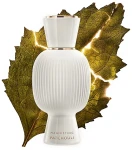 Bvlgari Allegra Magnifying Patchouli Парфюмированная вода (тестер с крышечкой) - фото N2